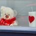Nounours aux fenêtres et autres témoignages de solidarité photographiés à Kanne, dans la commune de Riemst (Province de Limbourg)