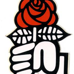 [Rose Socialiste]
